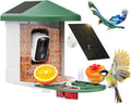 Smart Solar Bird Feeder with 2K Camera & AI Bird ID