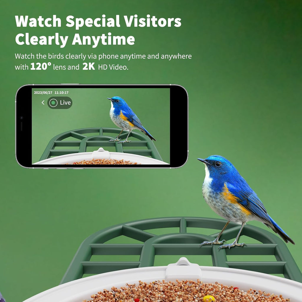 Smart Solar Bird Feeder with 2K Camera & AI Bird ID
