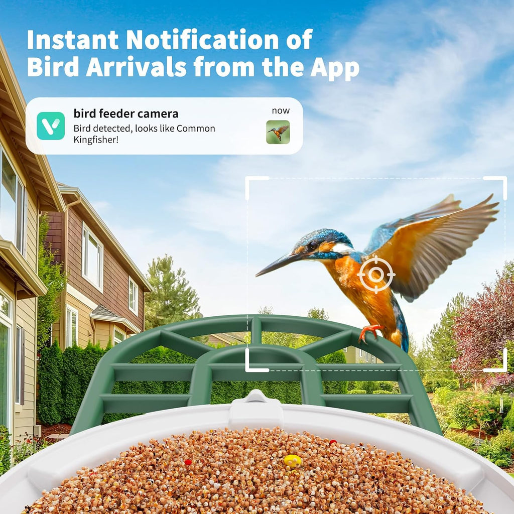 Smart Solar Bird Feeder with 2K Camera & AI Bird ID