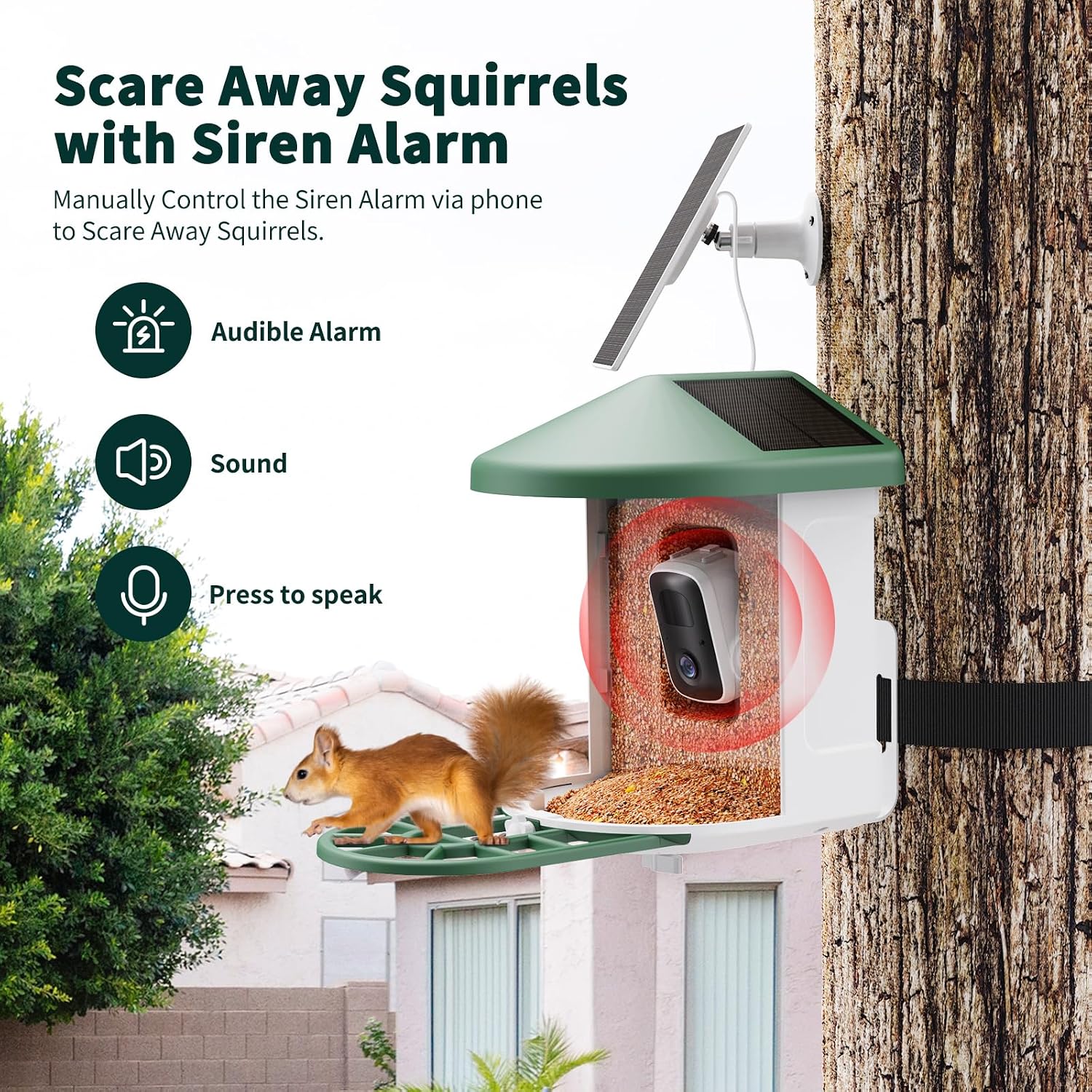 Smart Solar Bird Feeder with 2K Camera & AI Bird ID
