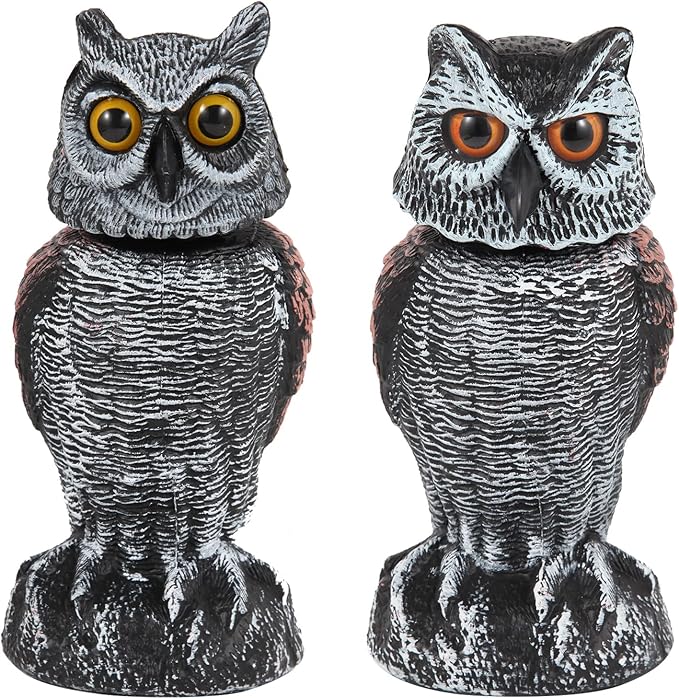🦉 Owl Garden Guard – No Batteries Needed, Just Wind Power!